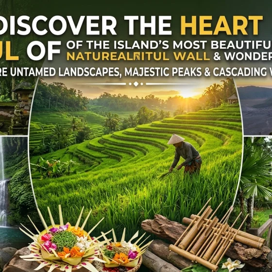 Explore the Island's Most Beautiful Natural Wonders