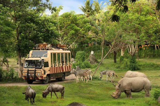 Bali Safari & Marine Park