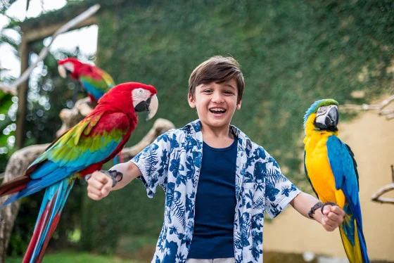 Bali Bird Park