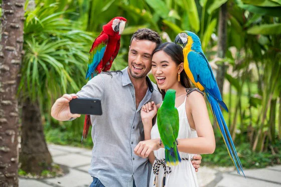 Bali Bird Park