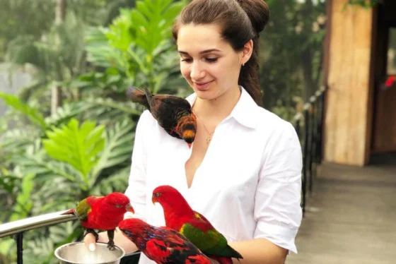 Bali Bird Park
