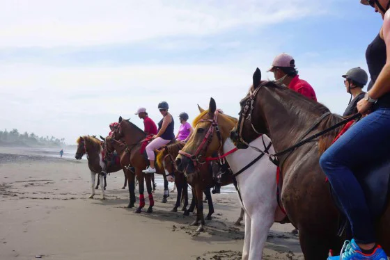 Bali Horse Riding