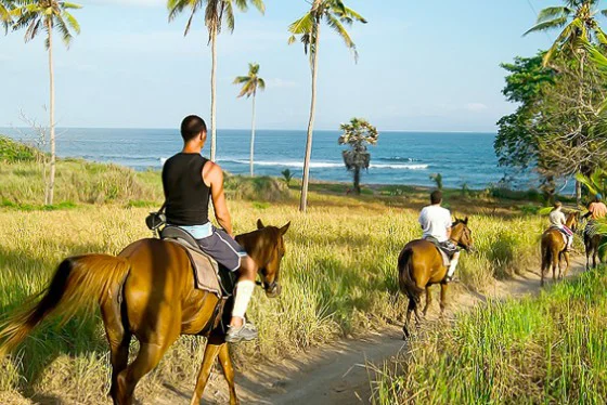 Bali Horse Riding