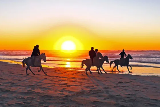 Bali Horse Riding