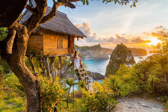 Rumah Pohon