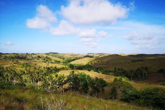 Teletubbies Hill