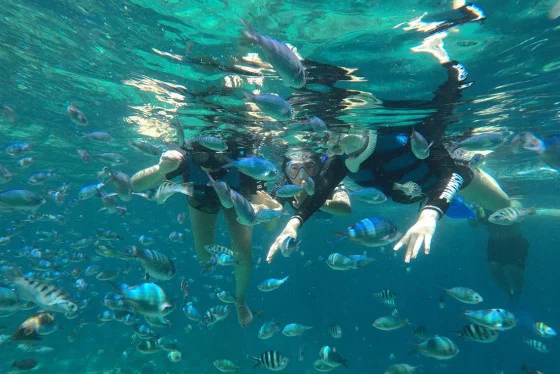 Snorkeling at Nusa Penida