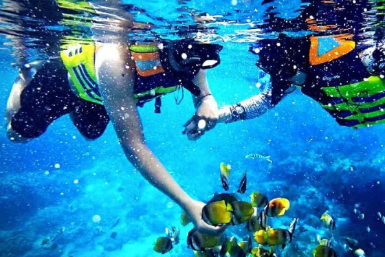 Snorkeling at Blue Lagoon