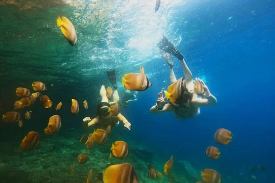 Snorkeling at Blue Lagoon