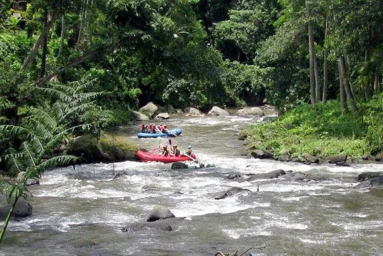 Ubud White Water Rafting