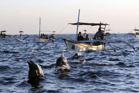 Lovina Sunrise & Dolphin Watching