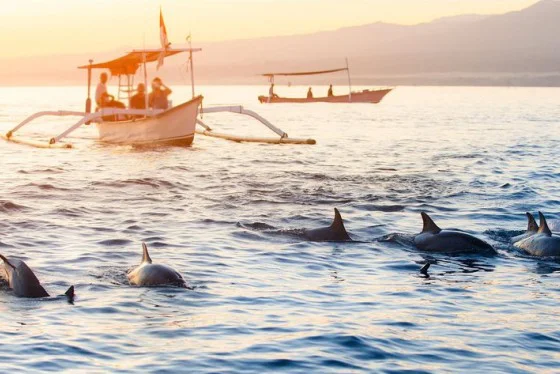 Lovina Sunrise & Dolphin Watching